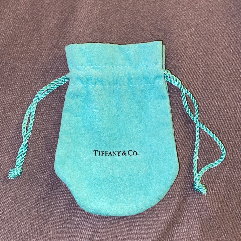 Tiffany & Co jewelry pouch polishing cloth travel traveling Tiffany’s medium